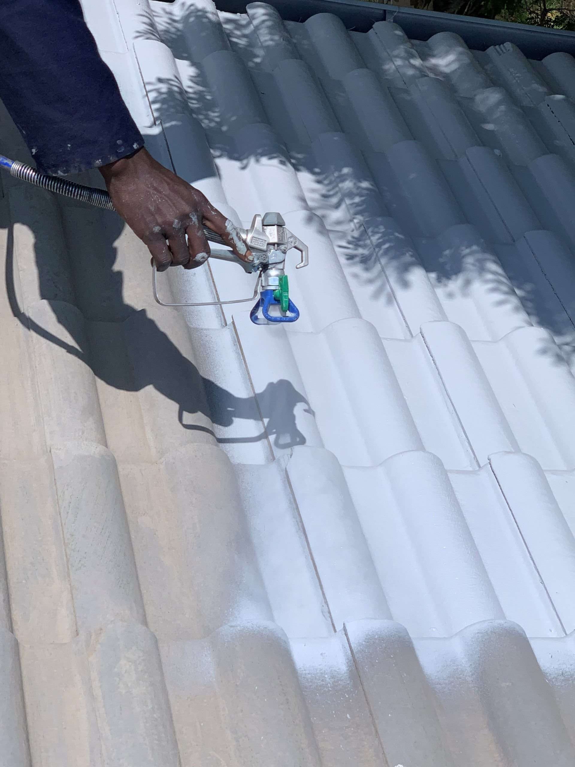 Roof Painting Specialists